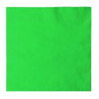 Guardanapos Papel Verde 33x33cm c/16