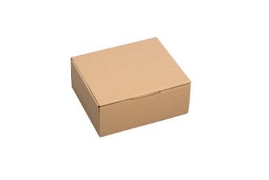 Caixas Boite de Cartão 25x20x12 Cm