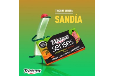 Trident Senses Watermelon c/4