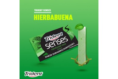 Trident Senses Rainforest c/4