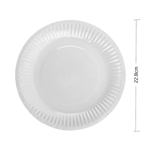 Pratos Cartão Biodegradáveis 22.8cm c/12